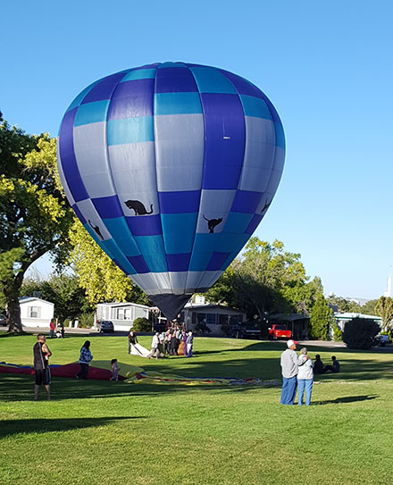 Watch balloon landings from Balloon Fiesta